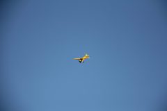 IMG_4109-scaled