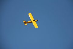 IMG_4114-scaled