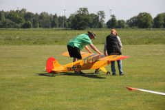 IMG_4135-scaled