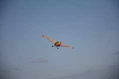 IMG_4146-scaled