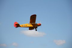 IMG_4150-scaled