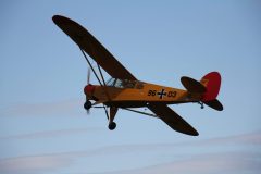 IMG_4156-scaled