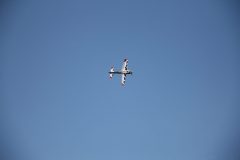 IMG_4250-scaled