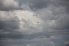 IMG_4289-scaled