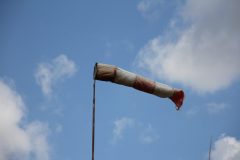 IMG_4312-scaled