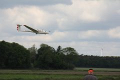 IMG_4387-scaled