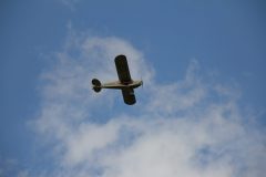 IMG_4410-scaled