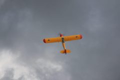 IMG_4424-scaled