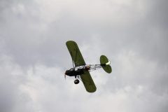 IMG_4455-scaled
