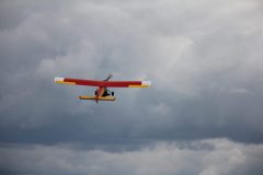 IMG_4529-scaled