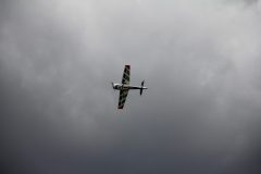 IMG_4638-scaled