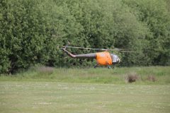 IMG_4663-scaled