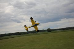 IMG_4690-scaled
