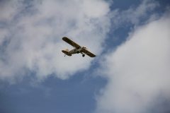 IMG_5008-scaled