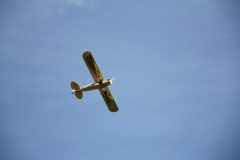 IMG_5010-scaled