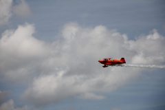 IMG_5131-scaled