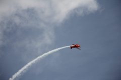 IMG_5135-scaled