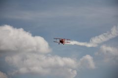 IMG_5145-scaled
