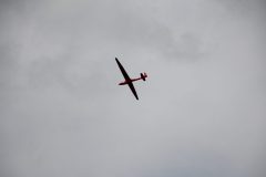 IMG_5290-scaled