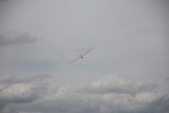 IMG_5291-scaled
