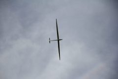IMG_5311-scaled