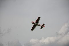 IMG_5368-scaled