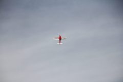 IMG_5388-scaled